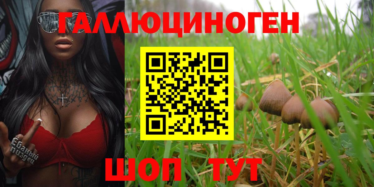 Галлюциногенные грибы Magic Shrooms  Вход с VPN  Ейск  Псилоцибиновые грибы Psilocybe 